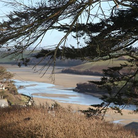 Il Giardino Bed and Breakfast New Quay Exteriör bild